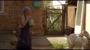 Сваты 6 сезон