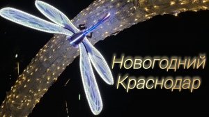 Новогодний Краснодар за четыре минуты. Парк Галицкого, Парк Облаков, улица Красная✅