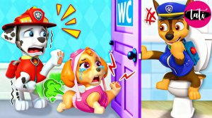 Щенячий патруль и Маршалл. Залипательное видео. Мультфильм для детей и малышей. Анимация 62