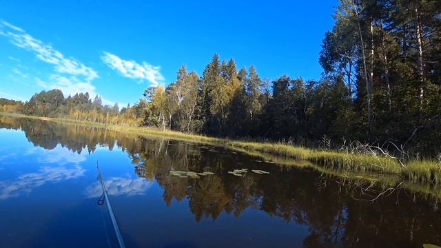 НА ЛЕСНОМ ОЗЕРЕ смотреть онлайн