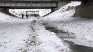 В ВОДНОМ ПЛЕНУ