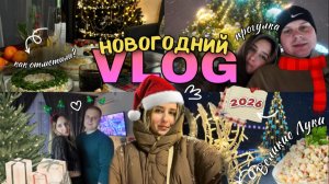 НОВОГОДНИЙ VLOG 2026//ОТМЕЧАЕМ ВДВОЁМ? / УЕХАЛИ В ДРУГОЙ ГОРОД /ПОЕЗД ДЕДА МОРОЗА /ОЧЕНЬ МНОГО СНЕГА