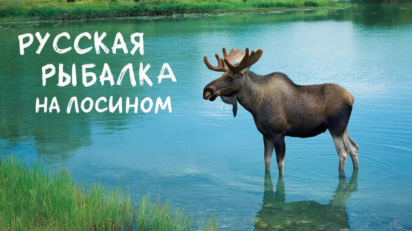Русская рыбалка 4.На Лосином 08.01.26г. смотреть онлайн