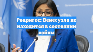Родригес: Венесуэла не находится в состоянии войны