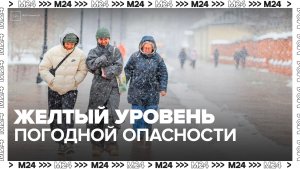 В Москве объявлен желтый уровень погодной опасности