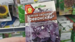 По магазинам// в Ле-Мана Про// что купили// обзор покупок!