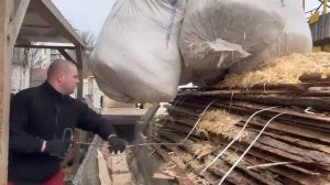 Когда Pure Strength запустит линию по производству древесной стружки.