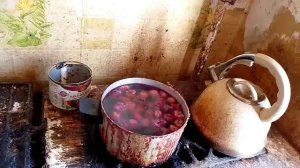 Рутуб как пирожки!