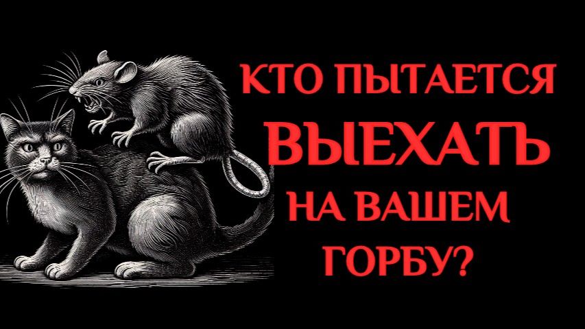 КТО ПЫТАЕТСЯ ВЫЕХАТЬ НА ВАШЕМ ГОРБУ? смотреть онлайн