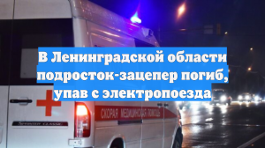 В Ленинградской области подросток-зацепер погиб, упав с электропоезда