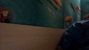 Смешное видео 😱