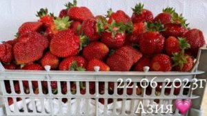 Красавица клубника Азия