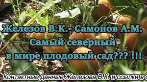 Железов В.К.- Самонов А.М. Самый северный в мире плодовый сад !!!