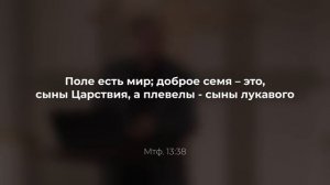 СЕМЯ ЗМЕЯ И СЕМЯ ЖЕНЫ