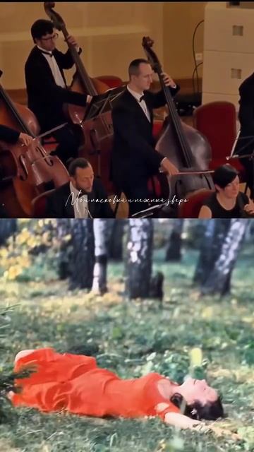 Мой ласковый и нежный зверь. смотреть онлайн