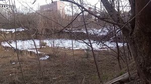 Кисловодск. Ул.К.Цеткин-23. 8.01.2026 г.