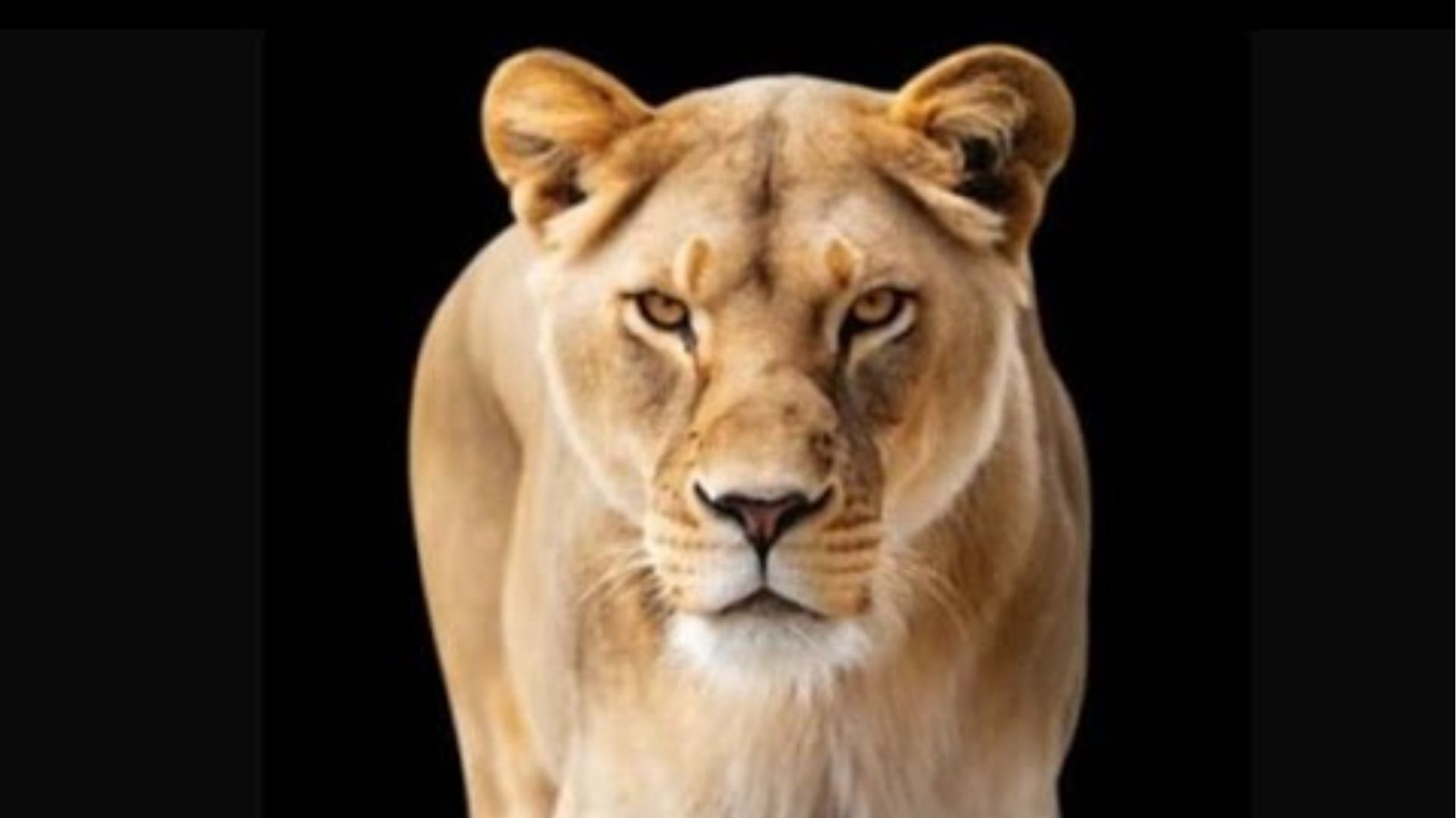 ПАРУ СЛОВ...эфир от 07.01.2026 г. смотреть онлайн