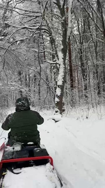 В заснеженном лесу на мотобуксировщике Койра Богатырь смотреть онлайн