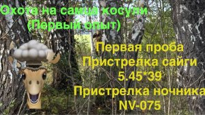 Охота на самца косули 2025 (первый опыт)