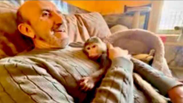 Анфиса просто РАЗМОТАЛА мне свитер за пять минут! Это не ребенок, это чудо с рогами😃 смотреть онлайн