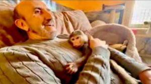 Анфиса просто РАЗМОТАЛА мне свитер за пять минут! Это не ребенок, это чудо с рогами😃