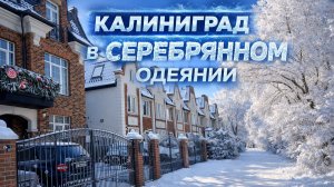 Калининград в морозном серебряном одеянии.