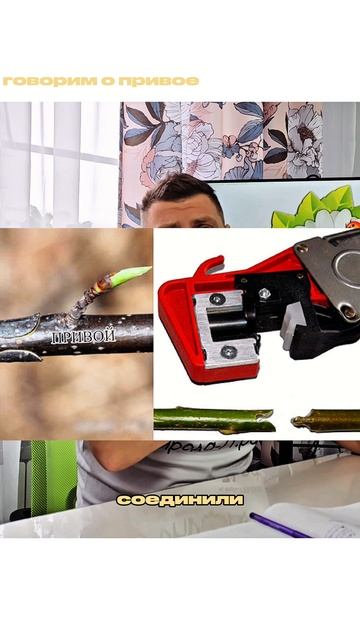 Секатор для прививки Секатор для прививки