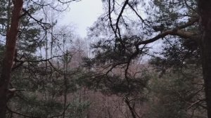 Наше отношение к выходным дням. На сколько мы себя ценим?