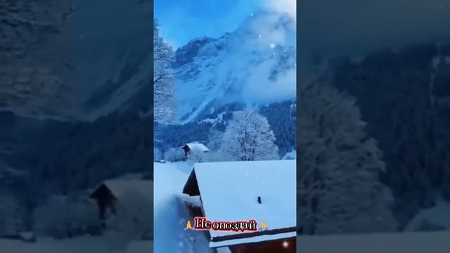 Наша жизнь как один миг. Не опоздай... смотреть онлайн