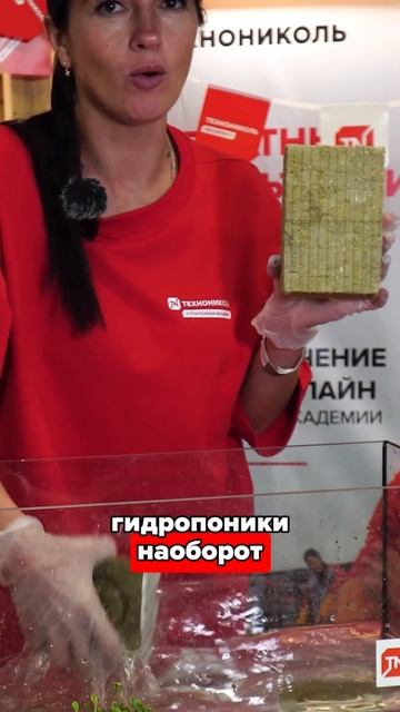 СТРОИТЕЛЬНАЯ ВАТА VS ВАТА ДЛЯ ГИДРОПОНИКИ смотреть онлайн