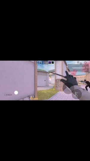 надоели чиитаки