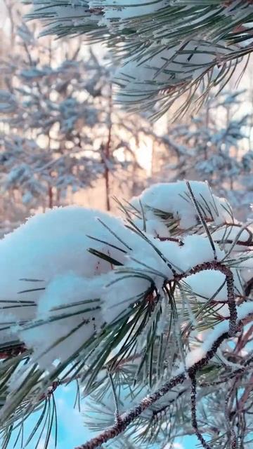 СМОТРИ КАКАЯ КРАСОТА... смотреть онлайн
