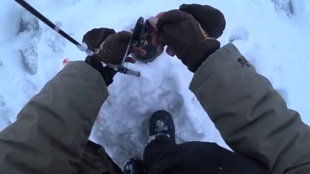 ЛОВЛЯ ХИЩНИКА НА ЖЕРЛИЦЫ 2026. РЫБАЛКА В КРАСНЫЙ УРОВЕНЬ ОПАСНОСТИ ПОПАЛ НА ВЫХОД ЩУКИ ПО УТРУ🐟🐟