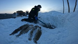 ПЕРЕМЕТ | ПРОВЕРКА 08.01.2026