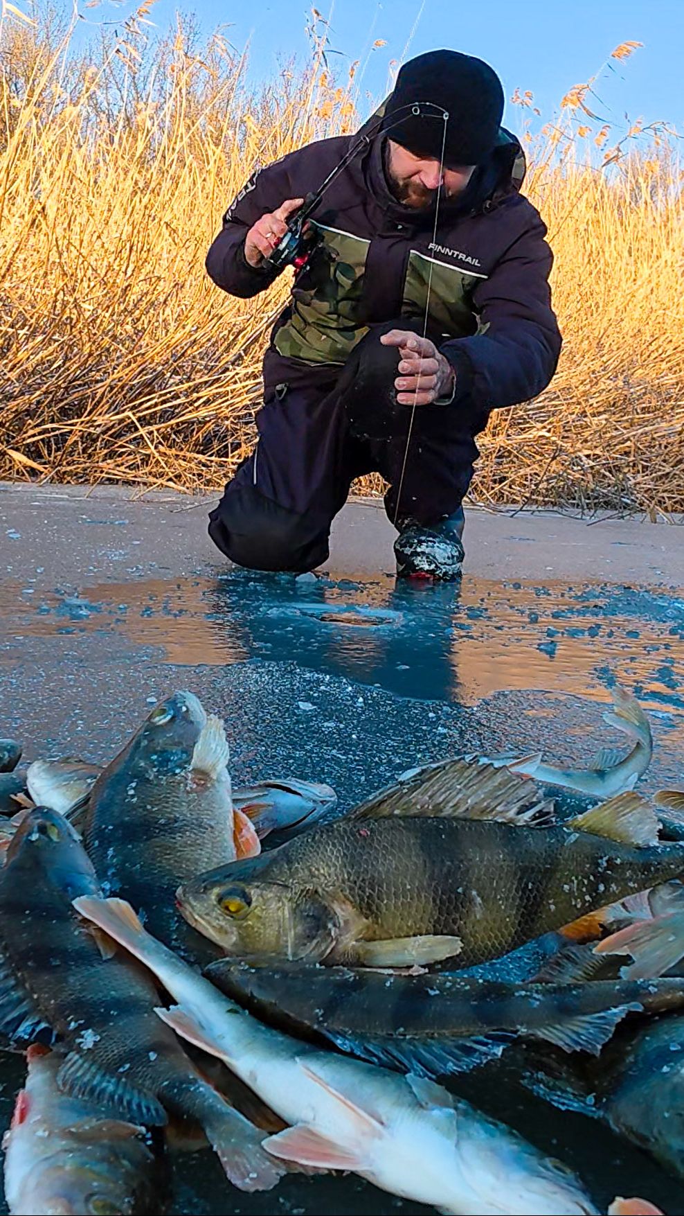 Окуня тьма! Клюёт на всё! Астрахань. Бешеный клёв. смотреть онлайн