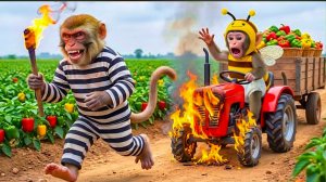 Мультики для детей, на ферму обезьянки напал вор, мультики про обезьянку