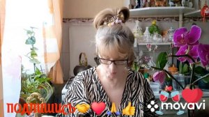 1000016632.mp4  🚀🖋️Я ИХ ОЧЕНЬ БЕРЕГУ,ВСЕ УЖО  ЗАМЕЧАЮТ 💃🔥МОИ БУДНИ 🚀🖋️