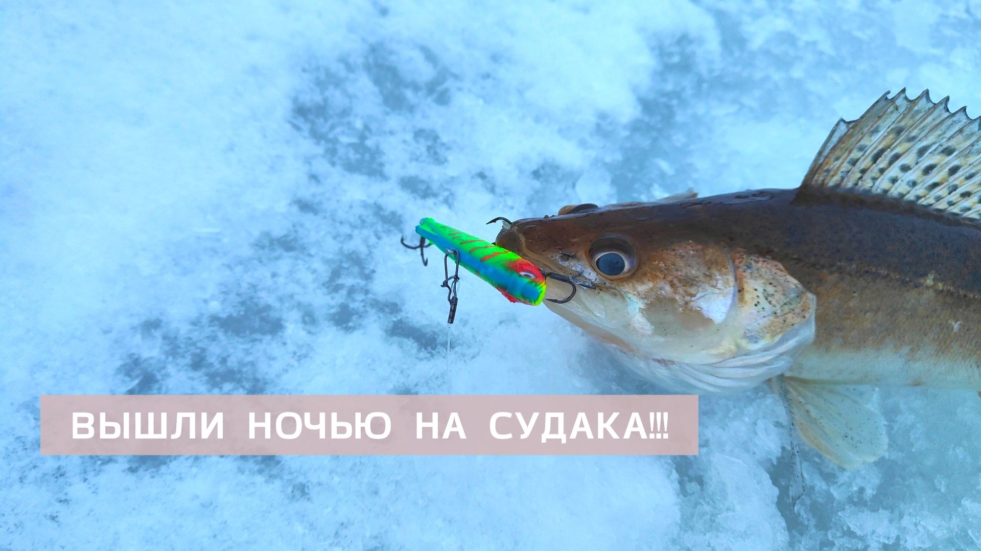 СУДАК ИСЧЕЗ! 9 ЧАСОВ ВПУСТУЮ😱  ACTIVE TARGET БЕССИЛЕН, РЫБА БАСТУЕТ смотреть онлайн