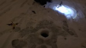 На Спортзоне уже гасят ))