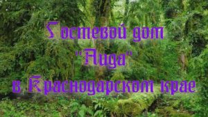 Гостевой дом «Аида» в Краснодарском крае