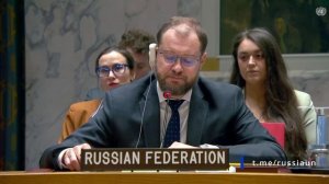 Д.С.Чумаков на Совете Безопасности ООН по сирийскому «химическому досье», Нью-Йорк, 8 января 2026