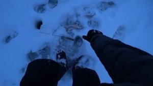 Рыбалка в Витебской области на окуня_Ледовая обстановка Января_Рыбацкая Атмосфера.