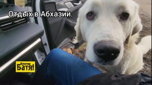 Отдых в Абхазии. В январе.