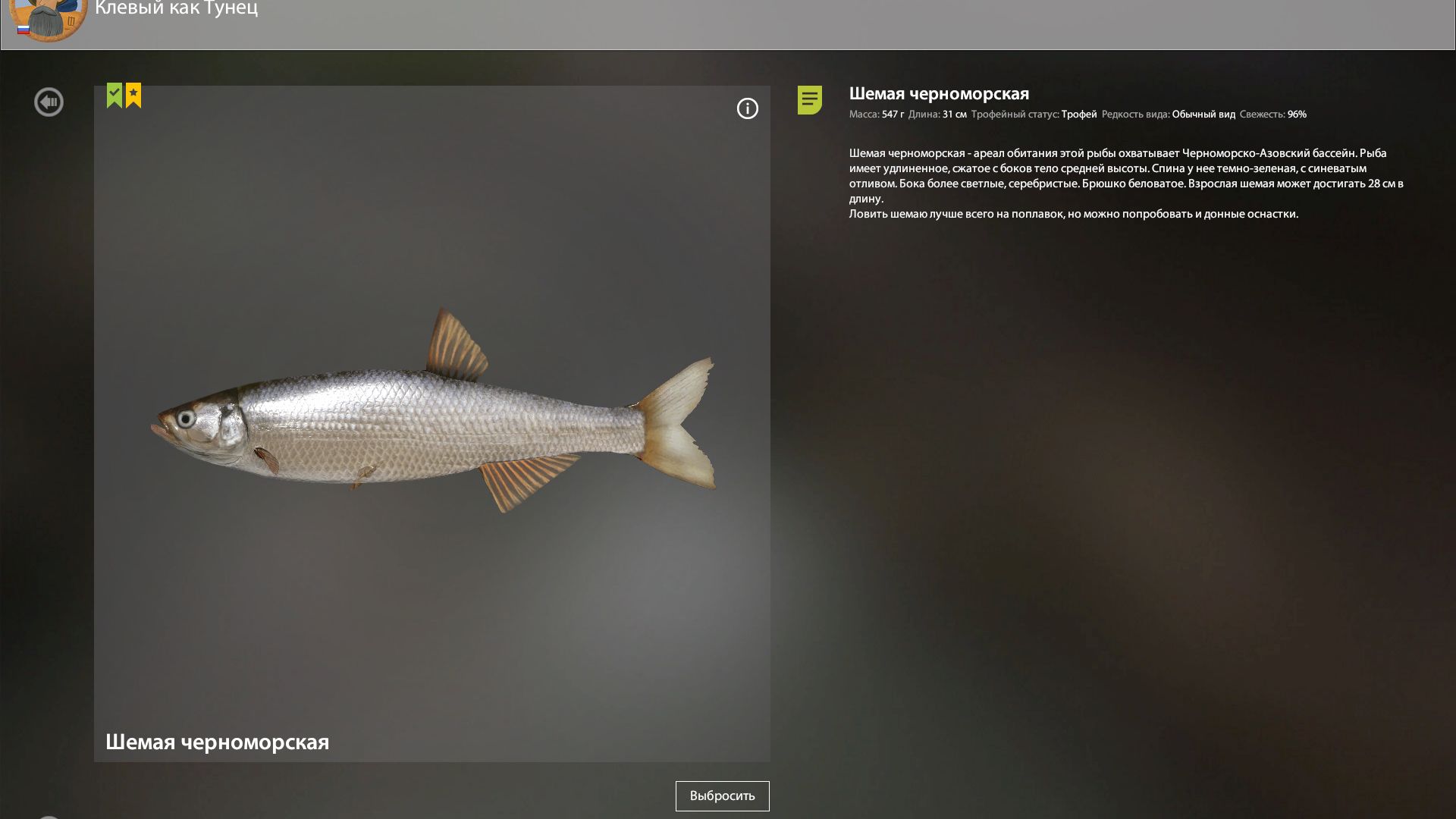 ТРОФЕЙ ШЕМАЯ ЧЕРНОМОРСКАЯ№3!!!СЕВЕРСКИЙ ДОНЕЦ - РУССКАЯ РЫБАЛКА 4 смотреть онлайн