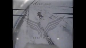 Новый день - новый свинорез от _Рубикона_.mp4