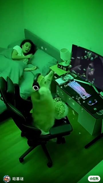 Просмотр ужастика 🙃 смотреть онлайн