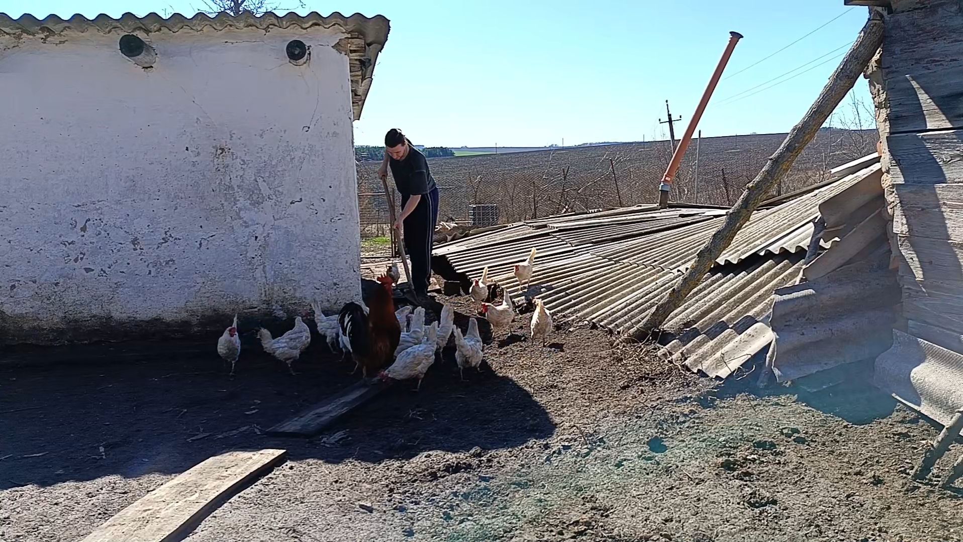 Мелкие дела в своем доме. Пилю дрова аккумуляторной пилой в деревне. Апрель 06 2025 смотреть онлайн