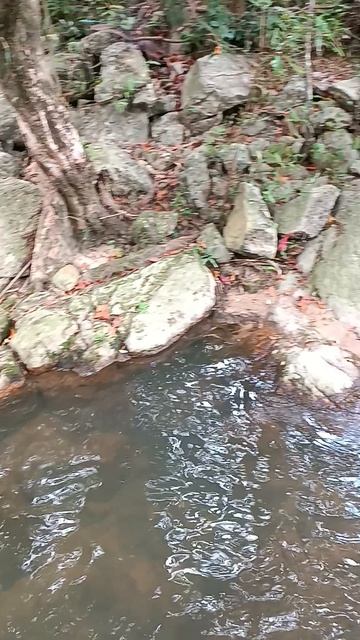 Верхний водопад Na Mueang-2, Самуй, Таиланд (Na Mueang-2 Waterfall,Samui, Thailand)