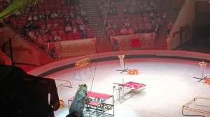 ёлка цирк 🎪 чудеса 2026 1 часть