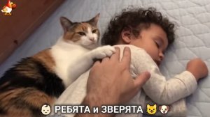 Ребята и зверята от ИИ милое видео для души и радости 👶🏻😺🐶 (25)